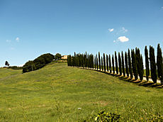 Paysage de Toscane Paysage de Toscane