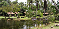 Notre hôtel à Cherating