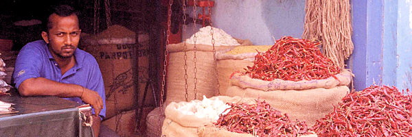 Fort Cochin quartier des épices